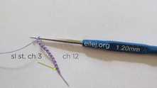 Chain (ch) 12. Join with slip stitch (sl st) to form a ring. Work ch 3.