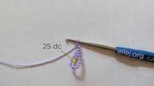 25 double crochet (dc) in the ring.