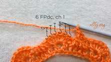 6 FPdc one by one in each dc in the shell around, ch 1.