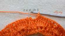 1 sl st in the 3nd bed ch, and 1 sl st in the 4th beg ch around. Work ch 3.