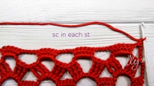 The last Row. Sc across in each st.