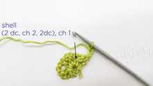 Row 2. Make Shell (2 dc, ch 2, 2 dc) in the first space, ch 1.