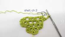 Row 5. Shell in the Shell, ch 2.