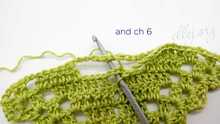 Insert hook in this way, YO and pull yarn, and work usual sc, ch 6.