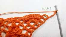 1 sc in the first arch, ch 5.