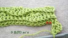 Skip 2 sc, 5 sc-blo one by one in each of the next 5 sc.