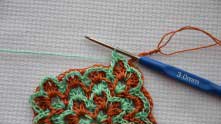 Sl.st. (join green arch with a ginger shell). Working a row of green shells.