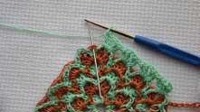 In each corner of this row work 1 shell under a ginger ch.