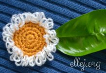 Кучерявая ромашка Кучерявая ромашка крючком