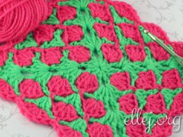 Raspberry Baby Blanket