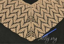 Top-Down Raglan with Leaf Motif