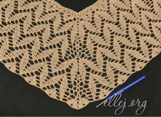 Top-Down Raglan with Leaf Motif