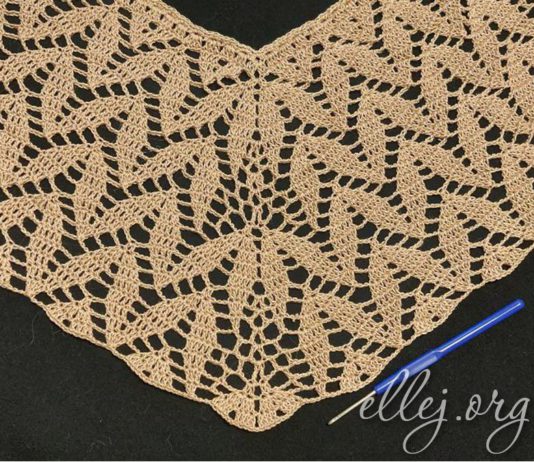 Top-Down Raglan with Leaf Motif